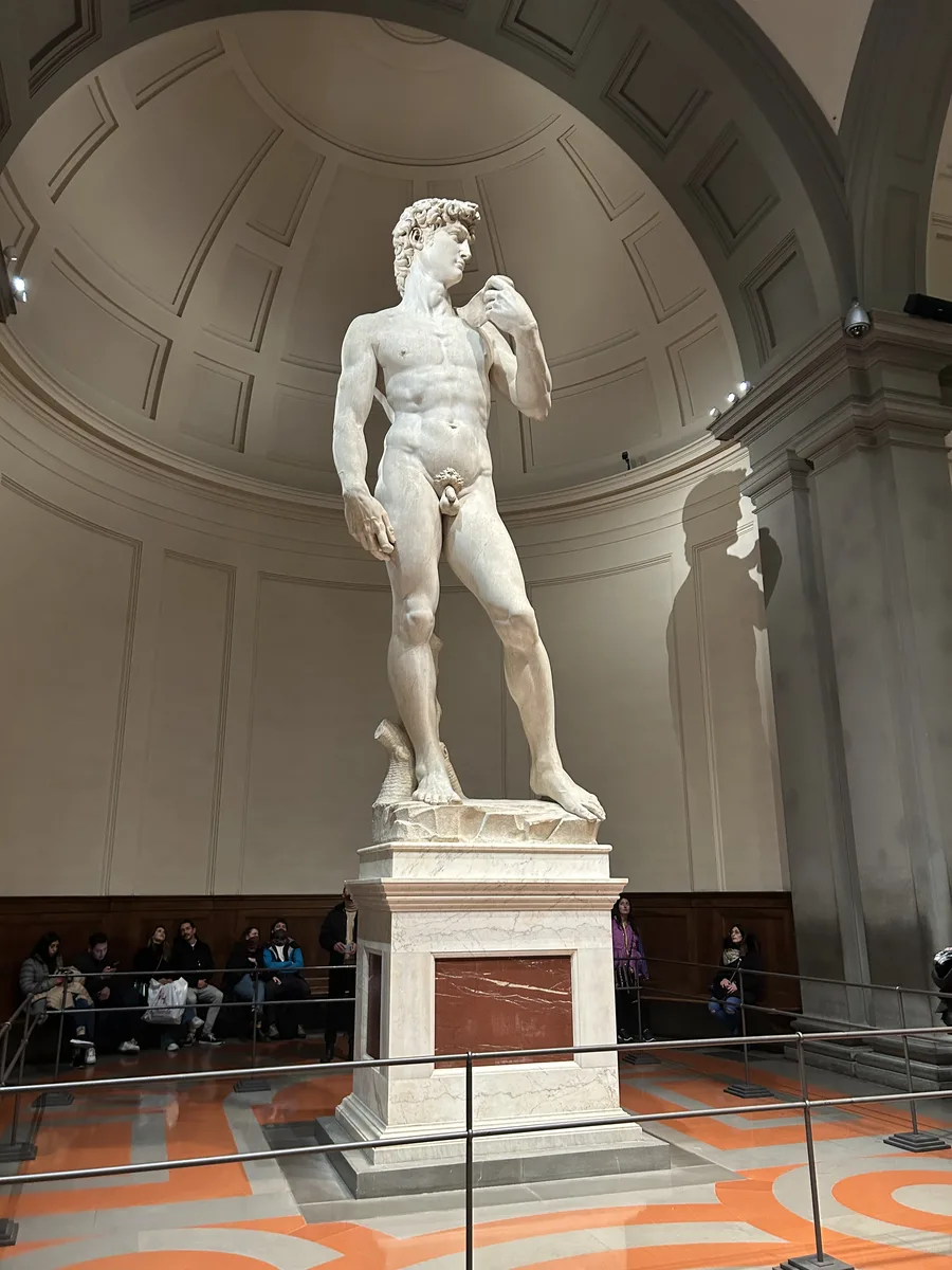 Michelangelo's David beneath the tribuna at the Galleria dell'Accademia, Florence