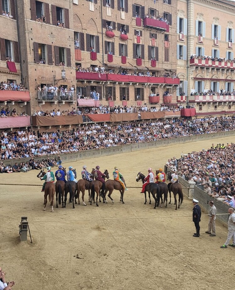 Horses and jockeys gathered in Piazza del Campo during the Palio di Siena